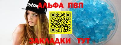 спиды Кингисепп