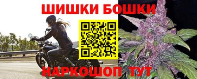 спиды Кингисепп