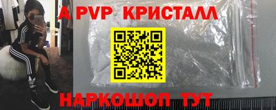 спиды Кингисепп